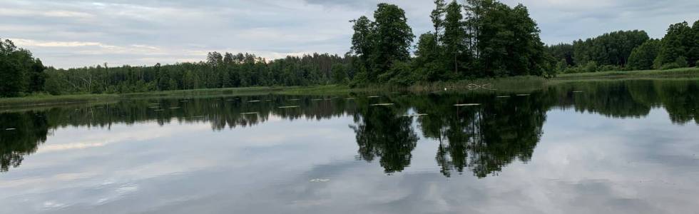 Białystok Zielona jezioro Komosa Ogrodniczki