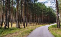 „Kozdrówka” – malowniczo położona droga przez las