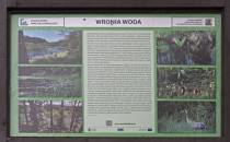 Wronia Woda