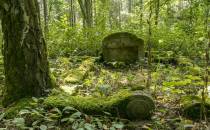 Leśny cmentarz ewangelicki