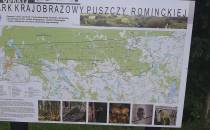 Informacja o puszczy Rominckiej