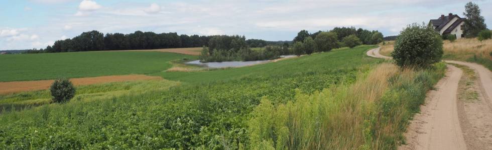 Wieżyca - Ostrzyce (kąpiel) - Babi Dół