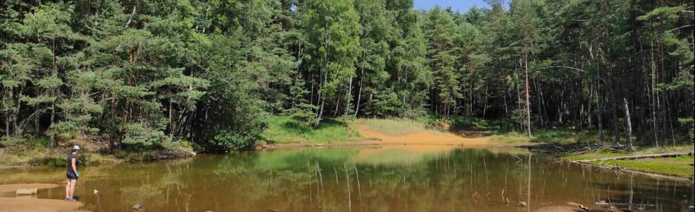 Leśną Rajzą nad 