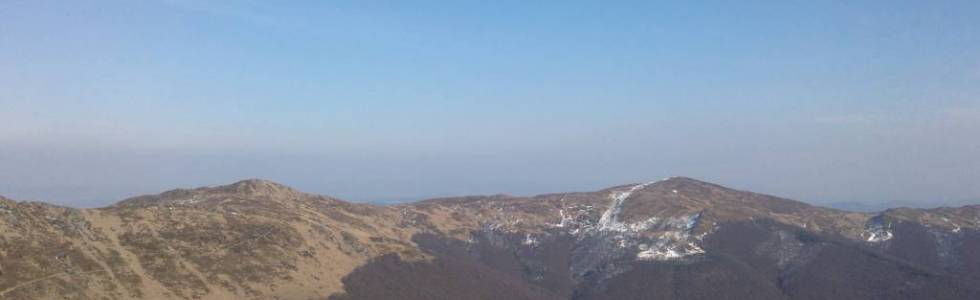 Bieszczady(Tarnica/Halicz/Rozsypaniec)