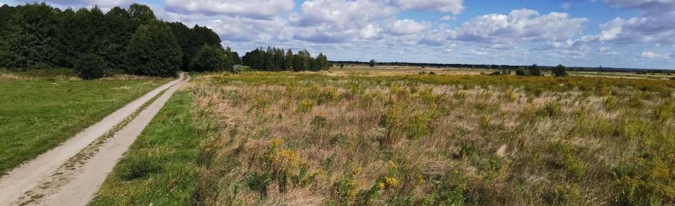 Odkryj okolice Przemkowa DOT5 rowerem.info