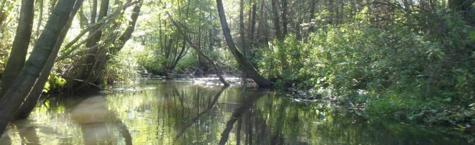 ekajaki.pl - Wietcisa : Stary Wiec-Czysta Woda