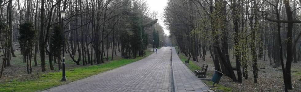 Trening po parku w Chorzowie 27.03.2014