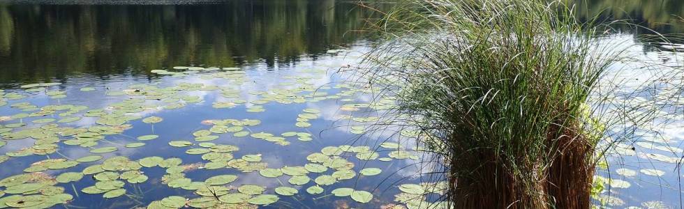 Trójmiejski Park Krajobrazowy mniej znany