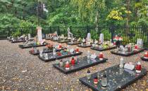 Ruda Różaniecka. Cmentarz poległych w trakcie II Wojny Światowej