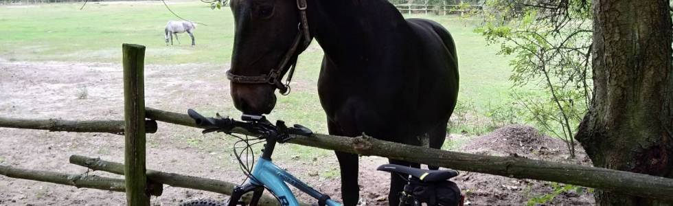 Świdwie Rezerwat Przyrody od Jeziora Głębokiego 40 km