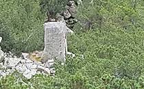 Kamień Karłowicza