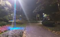 Park Róż i niebieskie światła