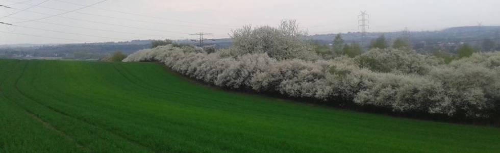 Niedzielna przejażdżka na Górę Świętej Doroty 13.04.2014