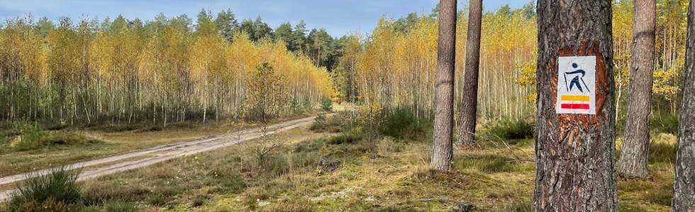 Trasy nordic walking Lubuń – trasa żółta 6,9 km - Gmina Kobylnica