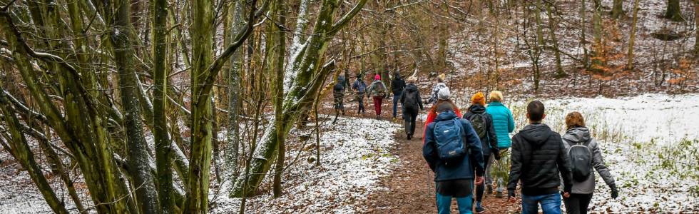 Marsz po trójmiejskich lasach - Polanki / Tetmajera