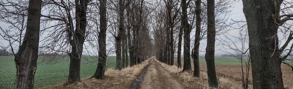 Styczniowa mokra rajza do Polskiej Cerekwi