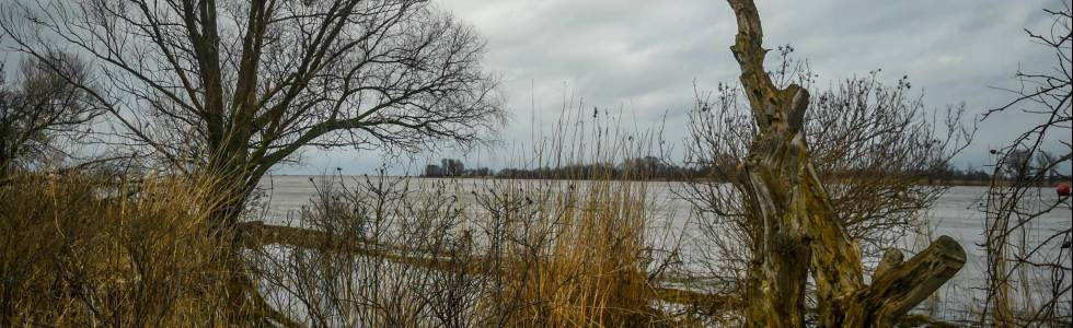 Ujście Wisły i Rezerwat Mawia Łacha strona zachodnia