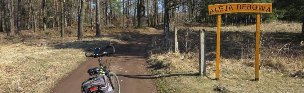 Górki Śląskie - Aleja Dębowa. Rudy. Ochojec. Golejów - Grabówka.