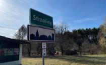 Strzaliny