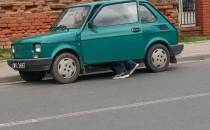 Fiat 126p