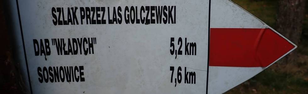 Szlak Przez Las Golczewski (Golczewo) - Pieszy Czerwony ver. 2021