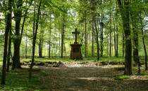 Wiączyń Dolny - cmentarz z czasów I wojny światowej
