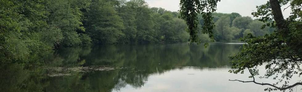 Park Solacki - Jezioro Rusałka