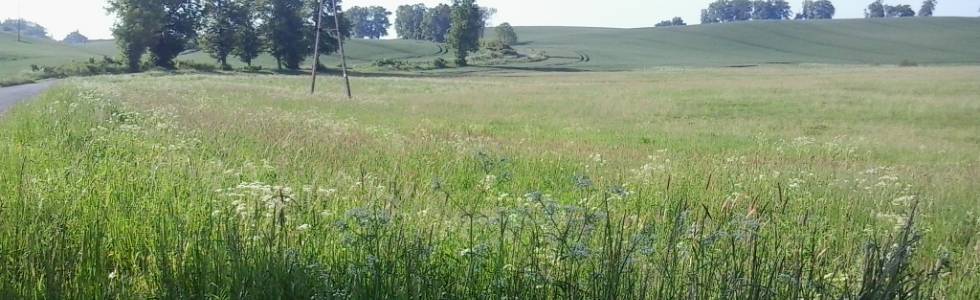 Pętla mała Bynowo Boreczno Piekło Jaśkowo nr  9