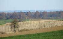 ydowo - Leginy widok na farmę wiatrową ok 25 - 30 km 02