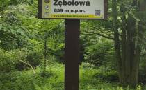 Zębolowa 859 mnpm.