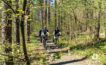 Leśna droga rowerowa we wschodniej Brandenburgii