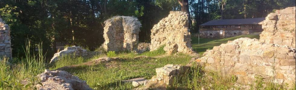 Zabytkowe ruiny Rudy Śląskiej