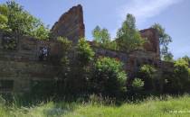 Golińsk - ruiny folwarku Karla Hankego