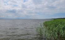 Jezioro Łebsko.