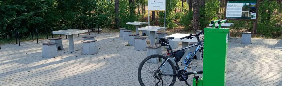 Trasa: Park Piastowski, Ochla-Kiełpiń-Drzonków-Park Piastowski.