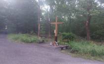 Krzyż w lesie między Borową Wsią a Kłodnicą