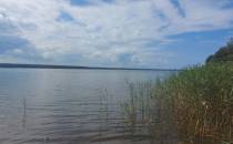 Dojście do jeziora Sarbsko