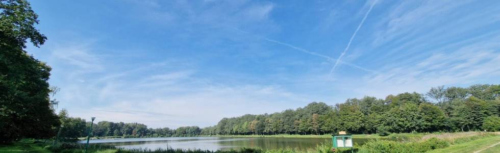 Oborniki Śląskie 16 km Kardio