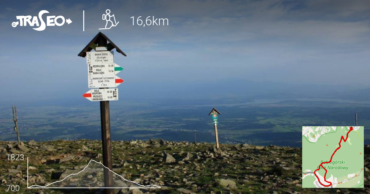 Trasa trekkingowa Zawoja Babia Góra i nazad Traseo.pl