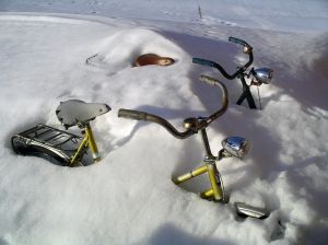 707967_bikes_in_snow