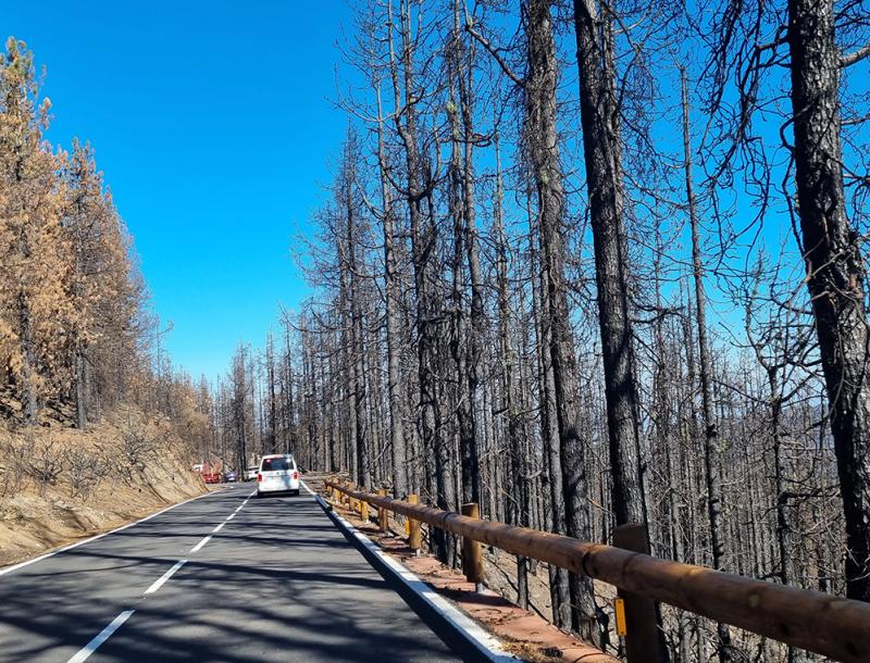 Kręta droga w okolicach Teide na Teneryfie – idealna trasa na zwiedzanie wynajętym autem