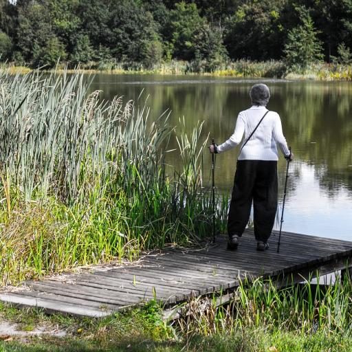 Nordic walking nad jeziorem – pomysł na aktywny relaks w rytmie slow
