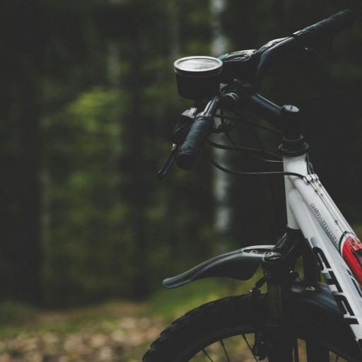 MTB czy trekking – dwa światy na dwóch kołach