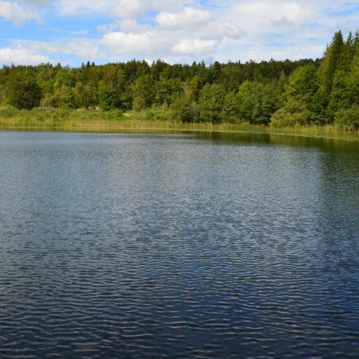 Mazury bez tłumów: Odkryj dzikie szlaki i strefę ciszy nad Jeziorem Omulew