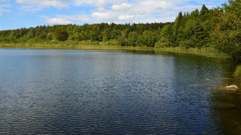 jezioro-omulew-mazury.jpg